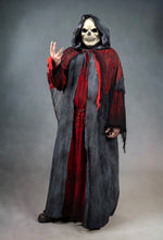 Load image into Gallery viewer, Druid - Sinister